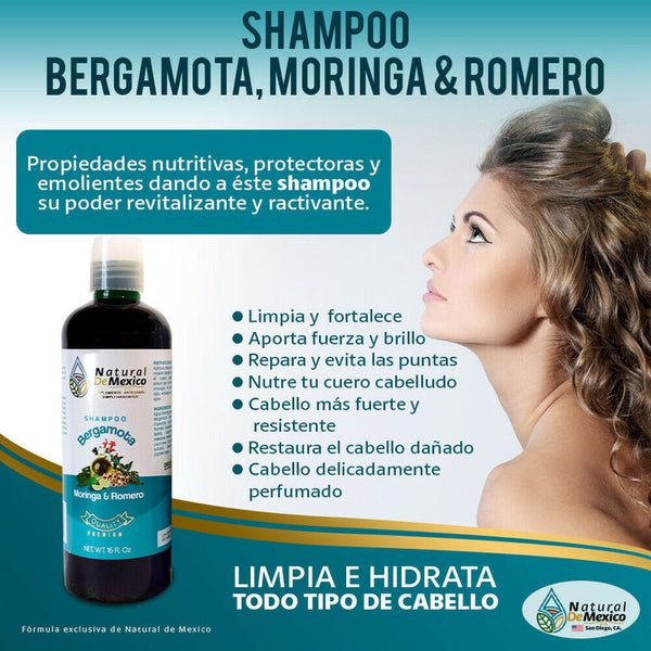 2 Shampoos, 1 Conditioner, 1 Serum of Bergamot, Moringa and Rosemary Hair Health