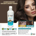 2 Shampoos, 1 Conditioner, 1 Serum of Bergamot, Moringa and Rosemary Hair Health