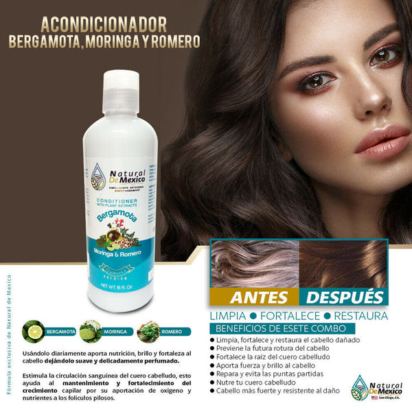2 Shampoos, 1 Conditioner, 1 Serum of Bergamot, Moringa and Rosemary Hair Health