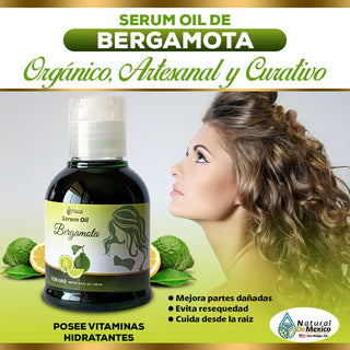 2 Shampoos, 1 Conditioner, 1 Serum of Bergamot, Moringa and Rosemary Hair Health