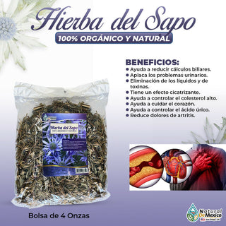 Hierba del Sapo Herbal Tea 4 oz-113g Toad Grass Herb Cholesterol Support HerbTea