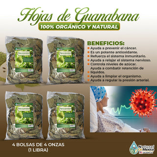 Hojas de Guanabana Soursop Leaves Graviola Antioxidante 1 Lb (4 de 4 oz) - 453g.