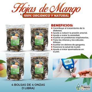 Hojas de Mango Mango Leaves controla glucosa en la sangre 1 Lb (4 de 4 oz)-453g.
