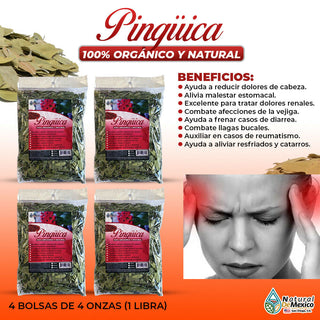 Pinguica Pointleaf Manzanita aliviar los dolores de cabeza 1 Lb(4 de 4 oz)-453g.