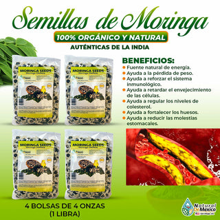 Semillas de Moringa Oleifera Autenticas de la India 1 Lb (4 de 4oz) - 453 gramos