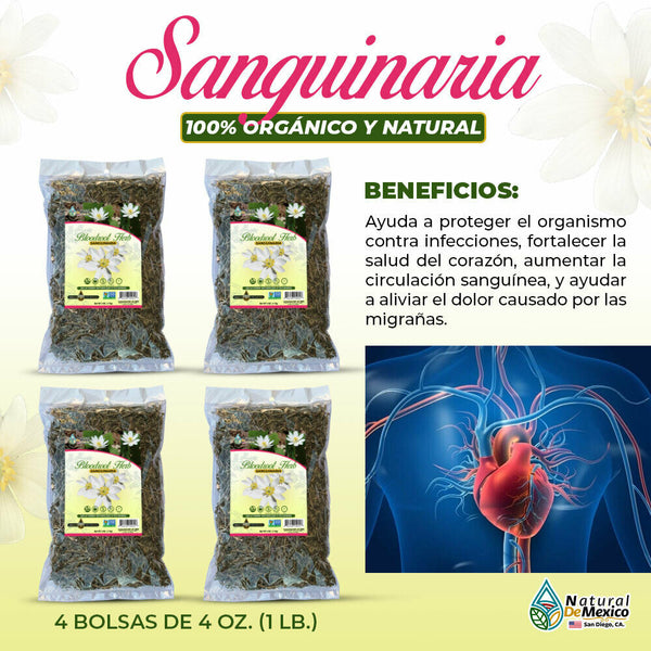 Sanguinaria Canadensis Herb Bloodroot Tea 1 lb. 453gr. (4/4 oz.) Heart Support