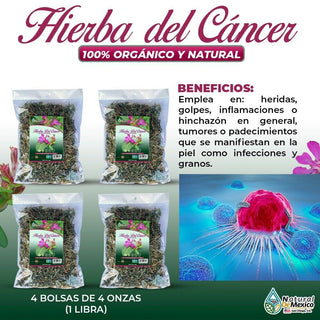 Hierba de la calavera trata infecciones de la piel y granos 1 Lb (4 de 4 oz)453g