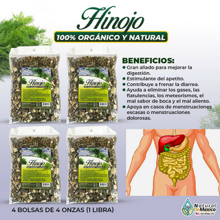 Hinojo Herbal/Tea 1Lb-453g (4/4oz) Dried Organic Fennel Leaves, Health Digestive