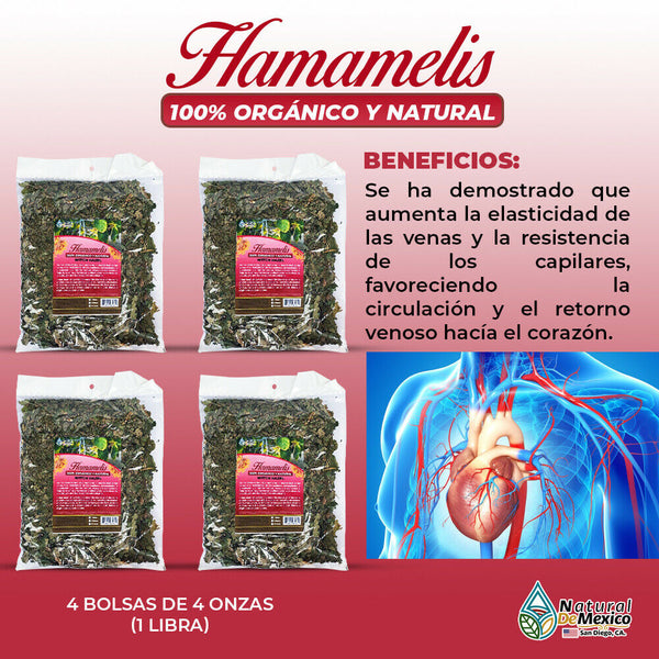 Hamamelis Virginiana 1 Lb-453g (4/4 oz) Witch Hazel Support Healthy Circulation