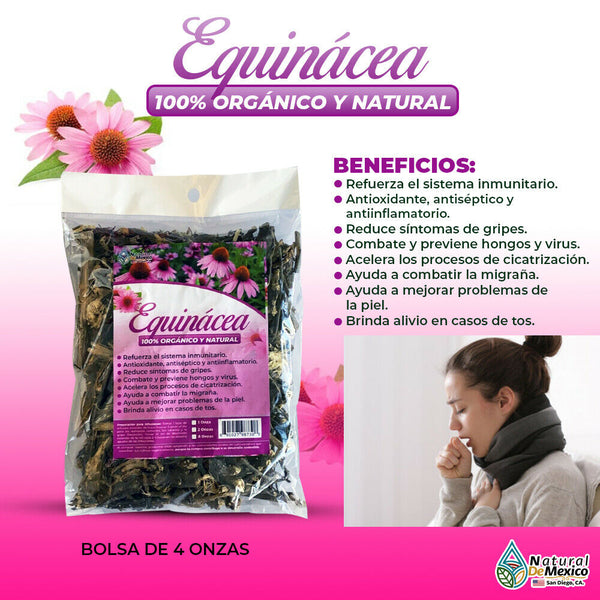 Equinacea Herbal/Tea 4oz-113g. Echinacea Purpurea Herb Health to Immune Supportortra Leaf/Leaves, Energy & Immune