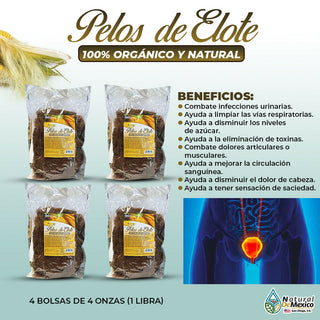 Pelos de Elote Corn Silk combate infecciones urinarias 1 Libra (4 de 4 oz)-453g.