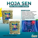 Hoja Sen Herbal Tea 8 oz-227g (2/4 oz) Dried Senna Leaves Tea Digestive Support