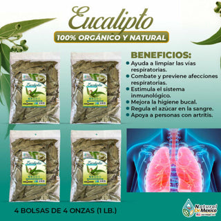 Hojas de Eucalipto 1 Lb (4 de 4oz)-453g Eucalyptus Leaves, Bronquios, Tos, Asma