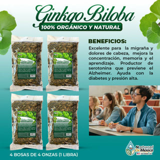 Ginkgo Biloba Leaves Herbal Tea 1 Lb-453g (4-4 oz) Supports Brain Health, Energy