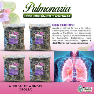 Pulmonaria 1 Lb-453g (4/4oz) Lungwort Herbs Tea, Promoting Respiratory Comfort