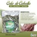 Horsetail 4oz-113g. Mexican Horsetail Herbal/Tea Supports Normal Kidney