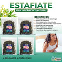 Estafiate 100% Herbal/Tea 1 Lb-453g (4/4oz) Improves Digestion Herb Dried Leaves